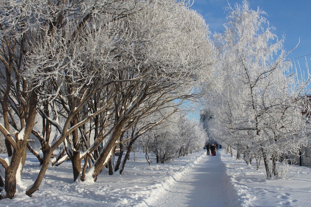 Photograph by Сироткина Нина