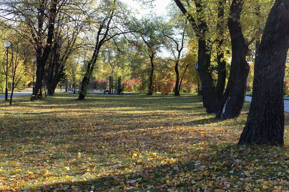 Photograph by Сироткина Нина