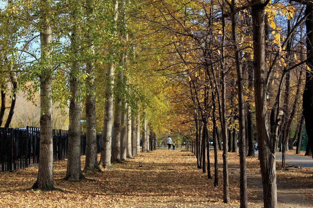 Photograph by Сироткина Нина