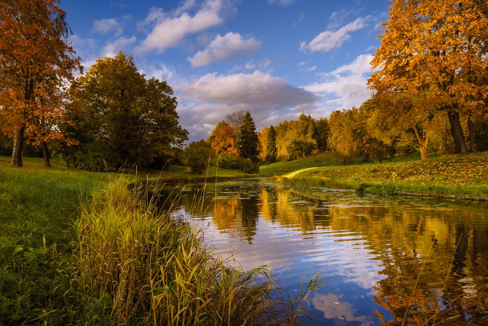 Золотой час в Павловском парке.