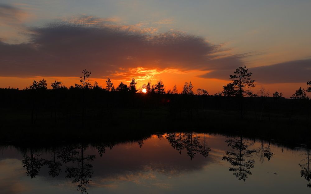 Photograph by АНДРЕЙ МИТЮРИН