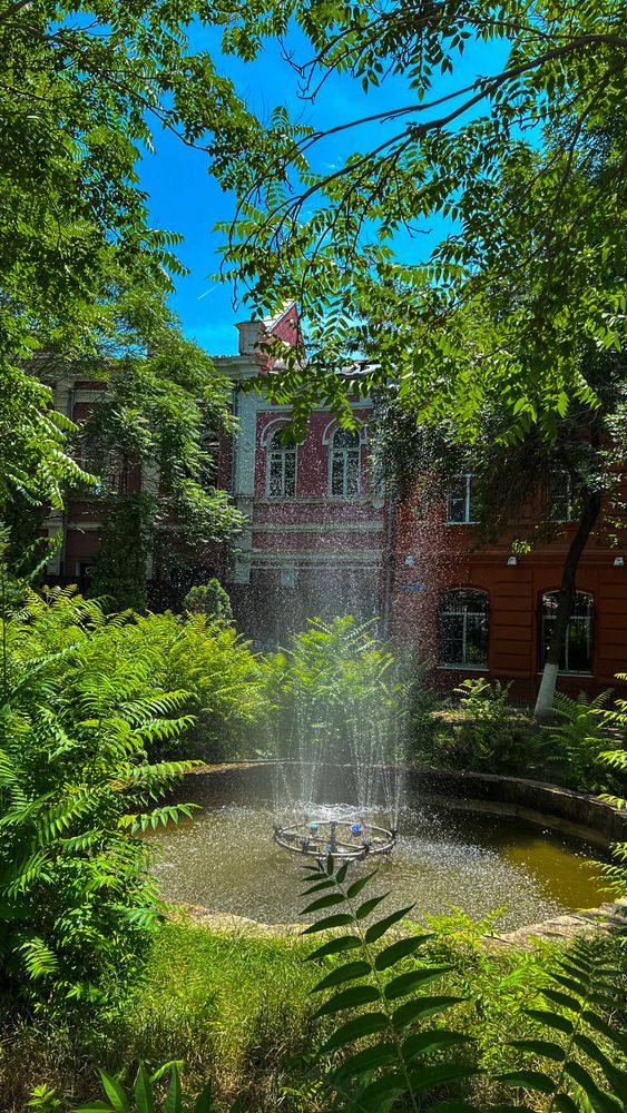 Фотография автора Татьяна Салиева