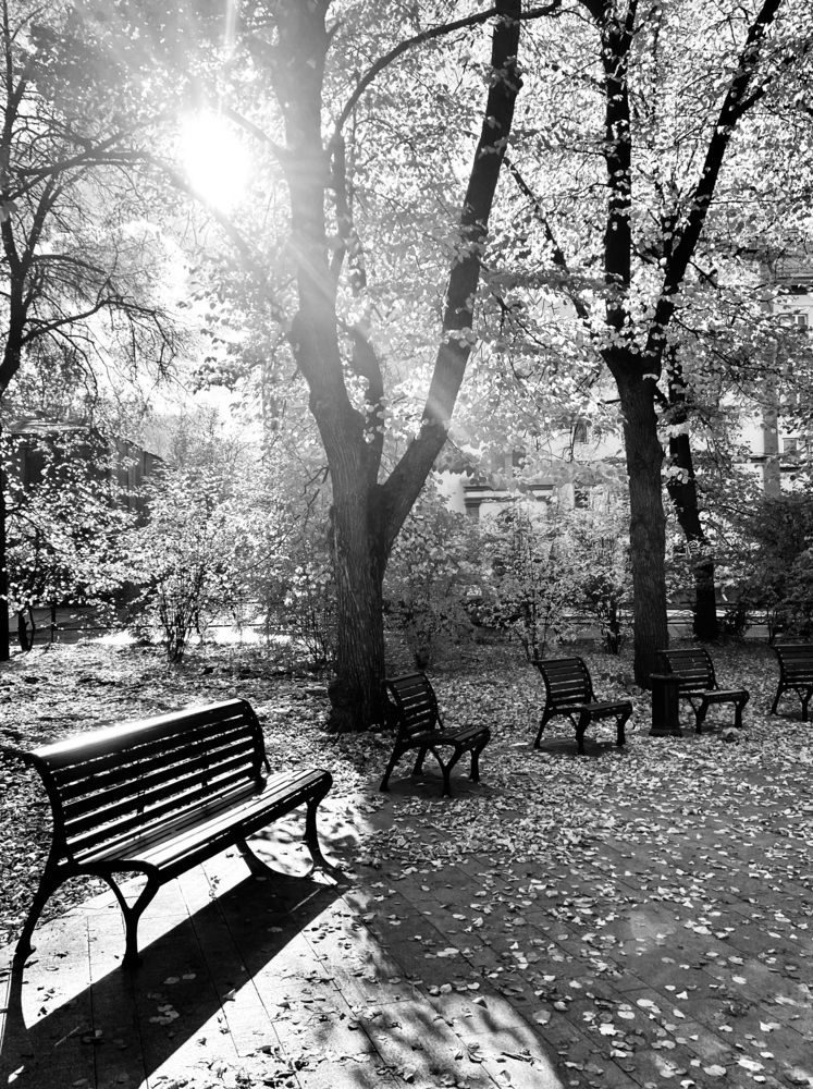 Photograph by Сюзанна