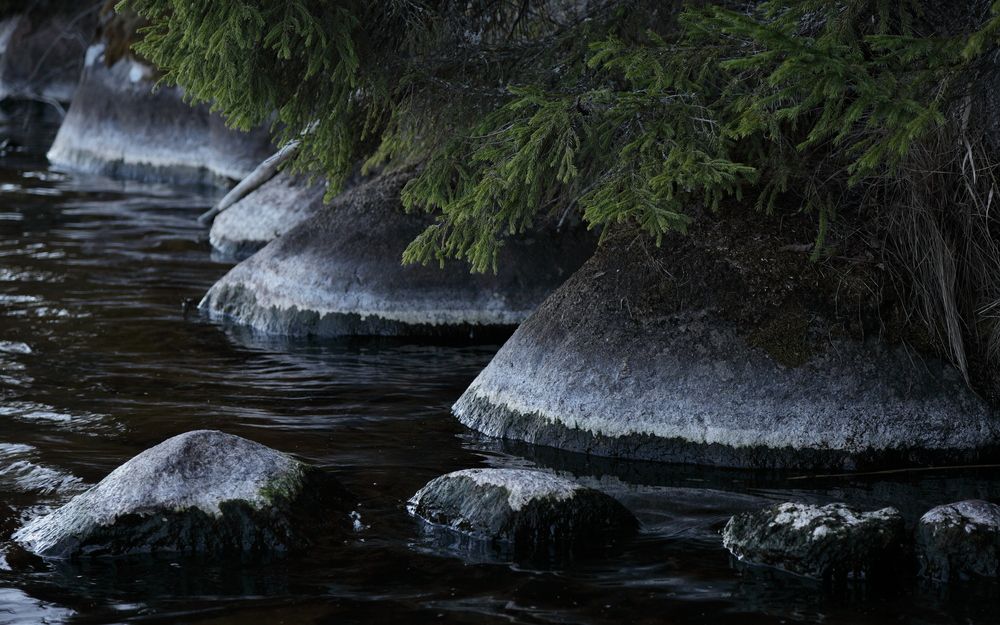 Photograph by АНДРЕЙ МИТЮРИН