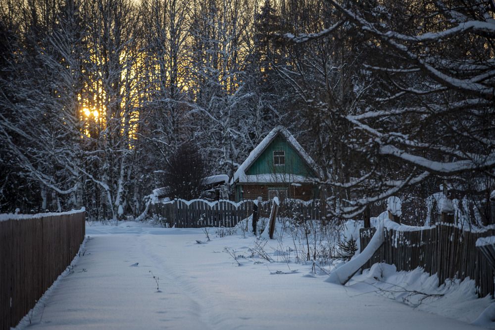 Photograph by Злобин Сергей