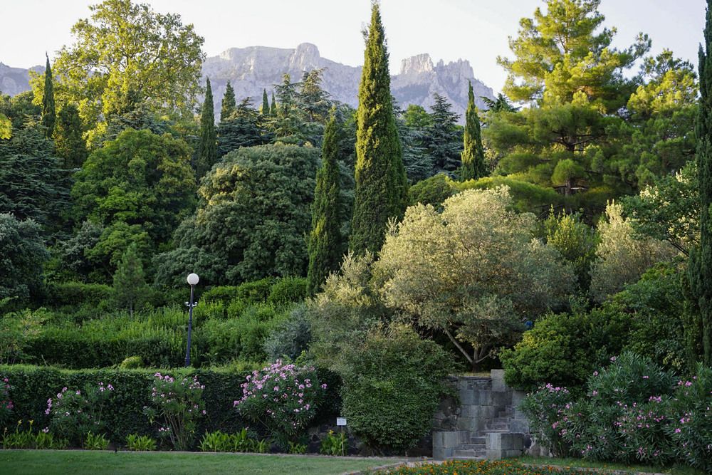 Фотография автора Татьяна Добровольская