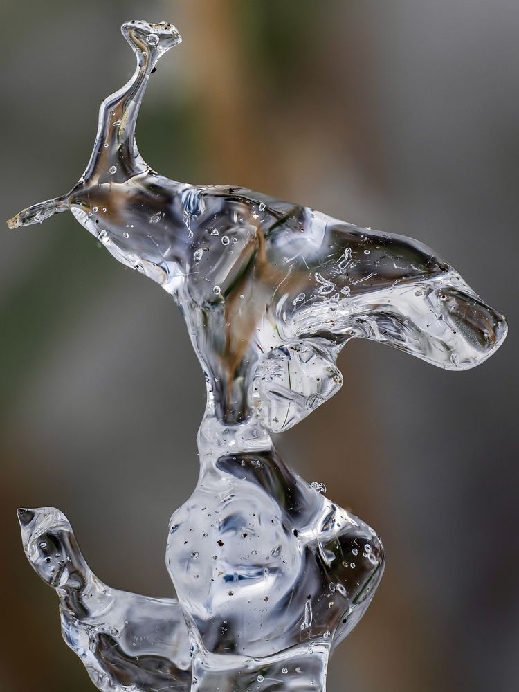 Natural micro ice sculpture