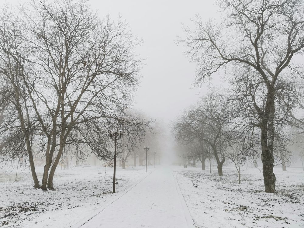 Photograph by Шипунова Ирина