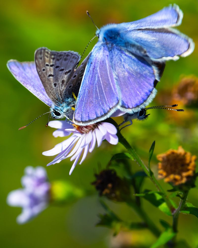 Photograph by Алексей Мартынов