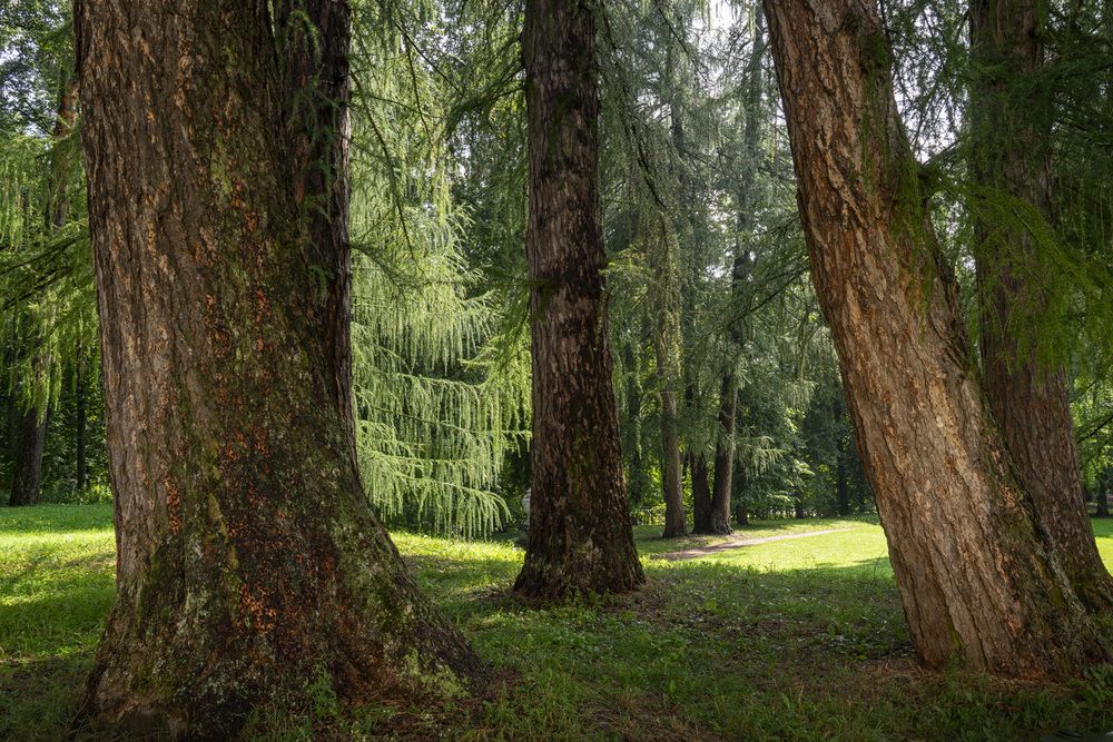 Фотография автора Татьяна Добровольская