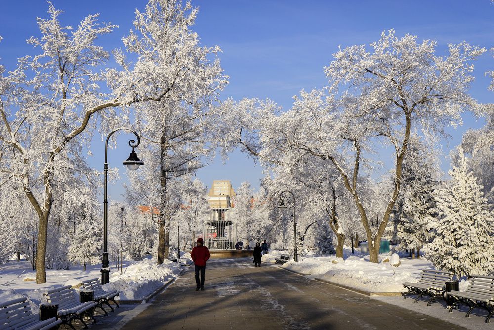Фотография автора Татьяна Добровольская
