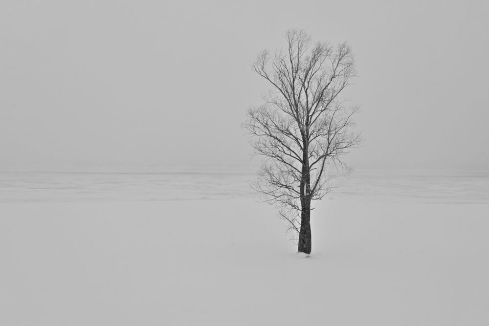 Photograph by Сергей Зубов