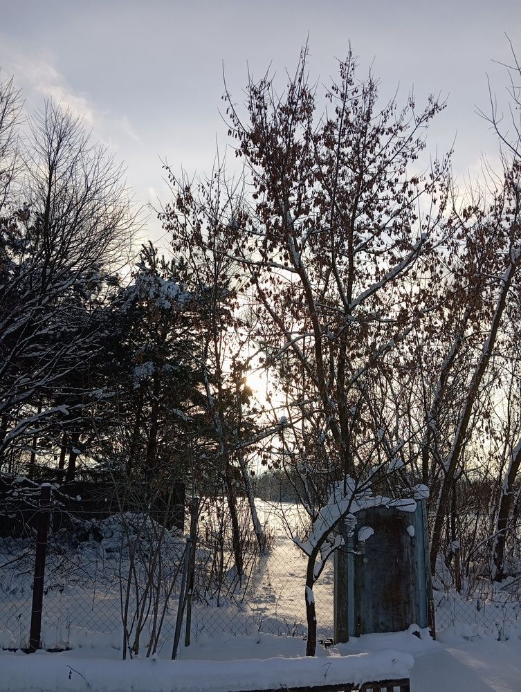 Photo #13045619