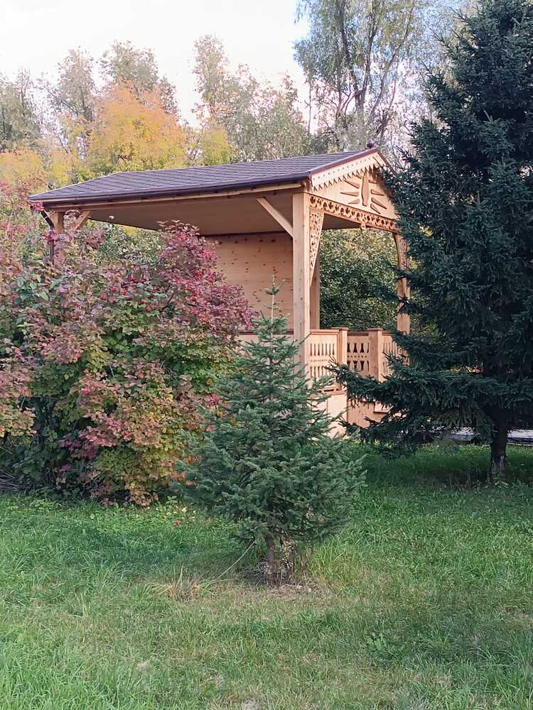 Фотография автора Елена Колышева