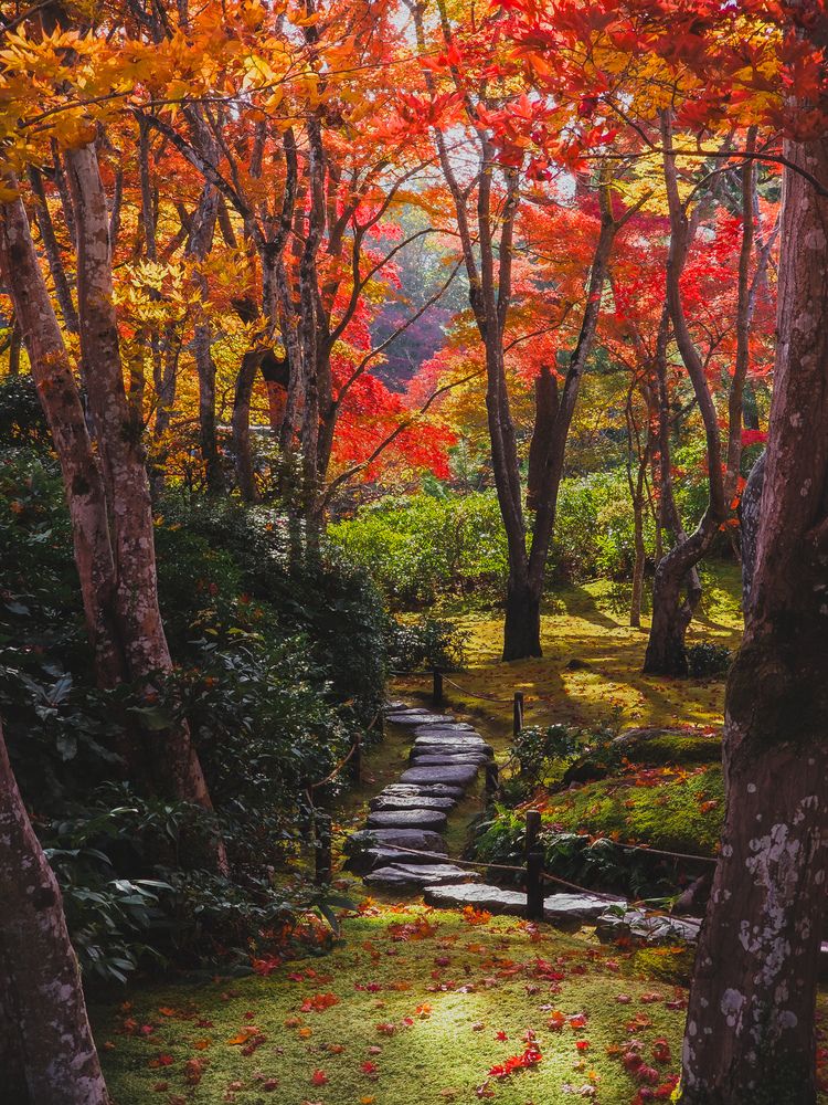 Photograph by Evgeny Pochaev