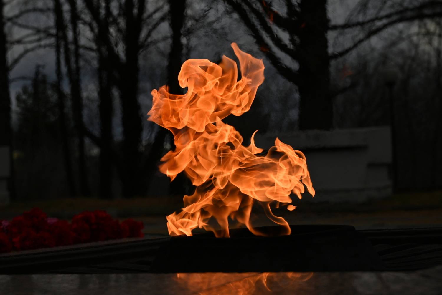 Фотография #13045645