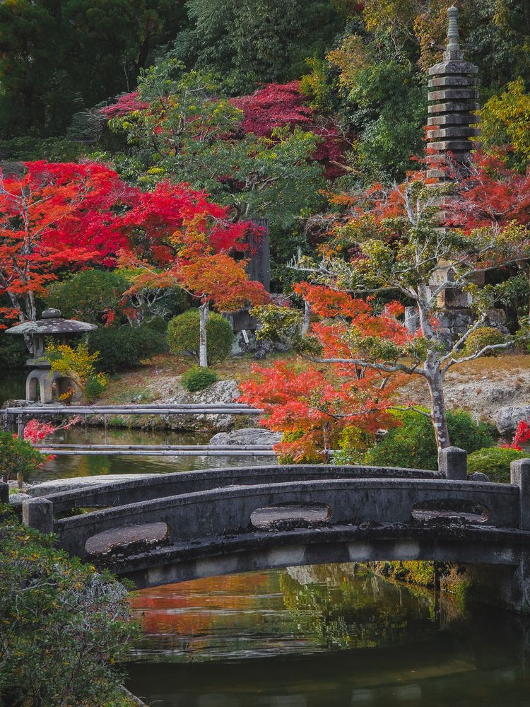 Photograph by Evgeny Pochaev