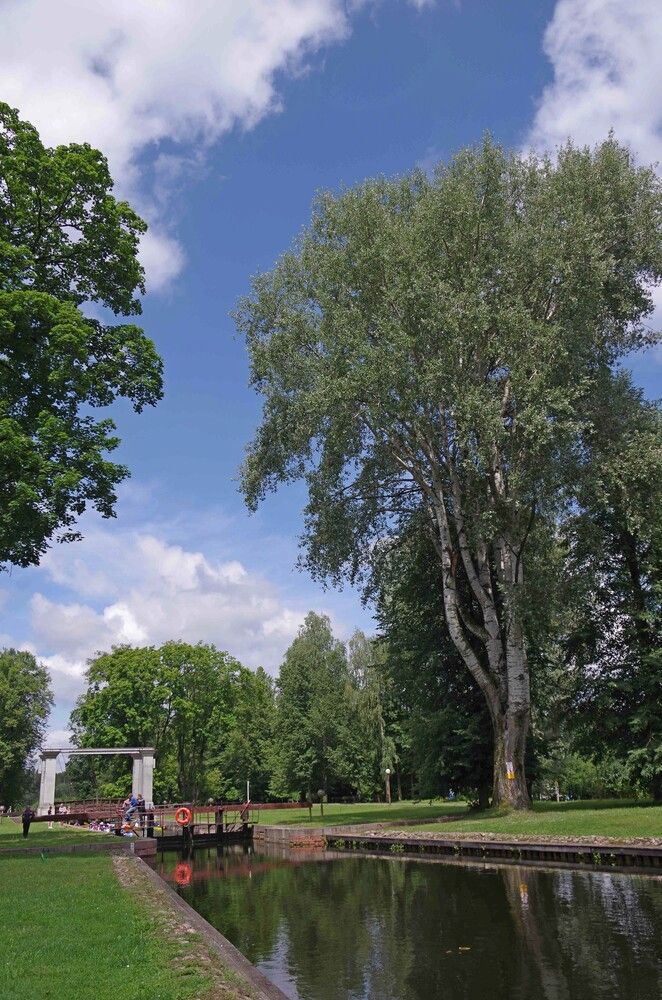 Photograph by павел николаевич