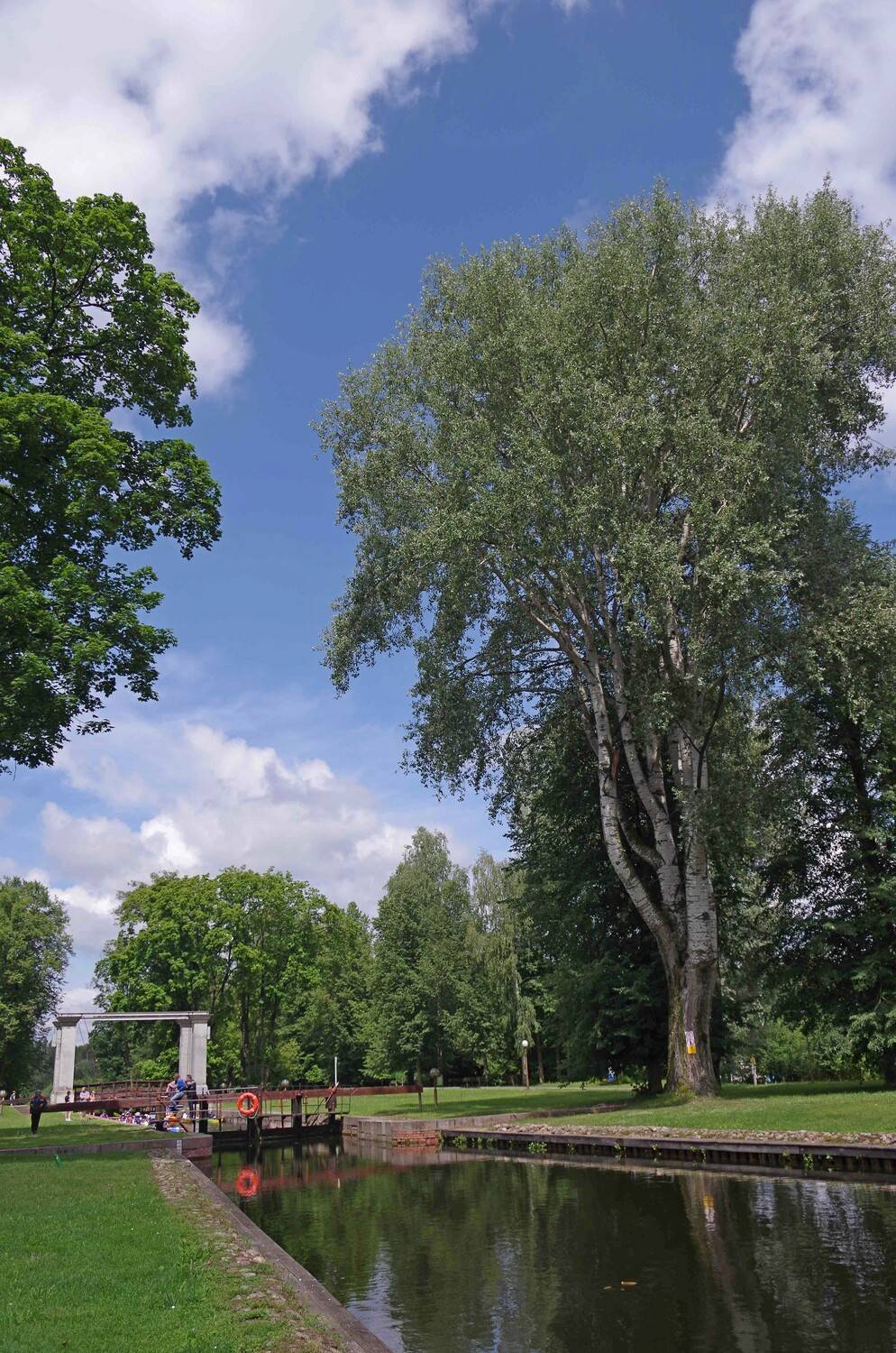 Photo #13045648