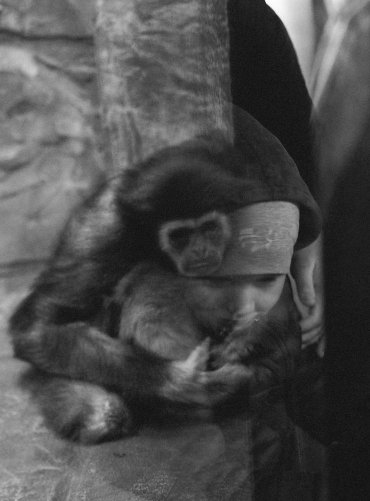 Photograph by Екатерина Ромадановская