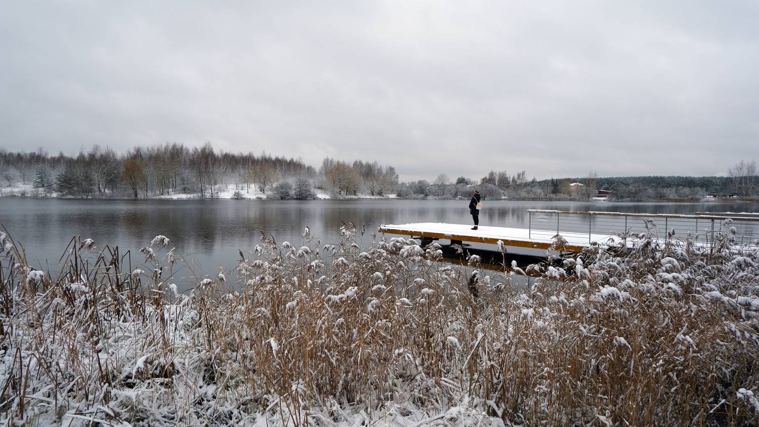 Photo #13045656