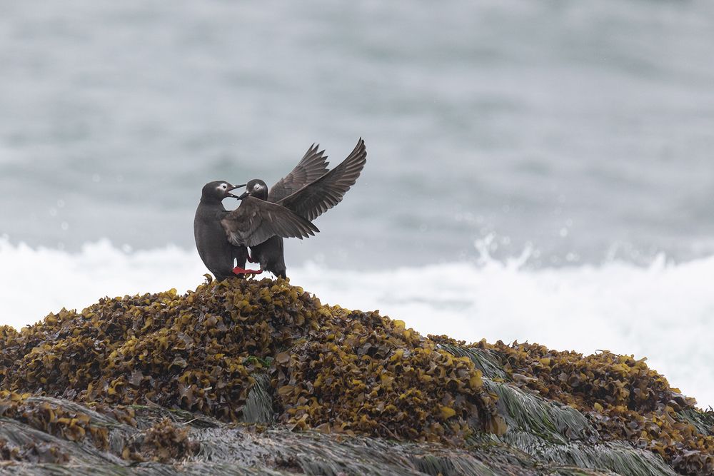 Photograph by Щипкова Елена