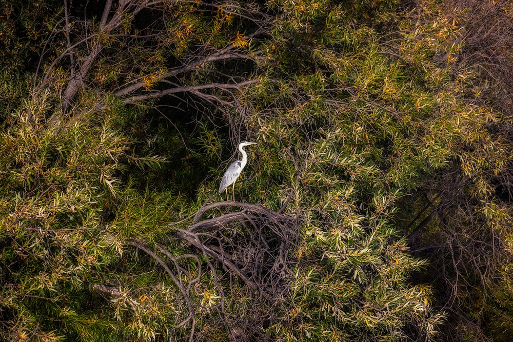 Photograph by Щипкова Елена