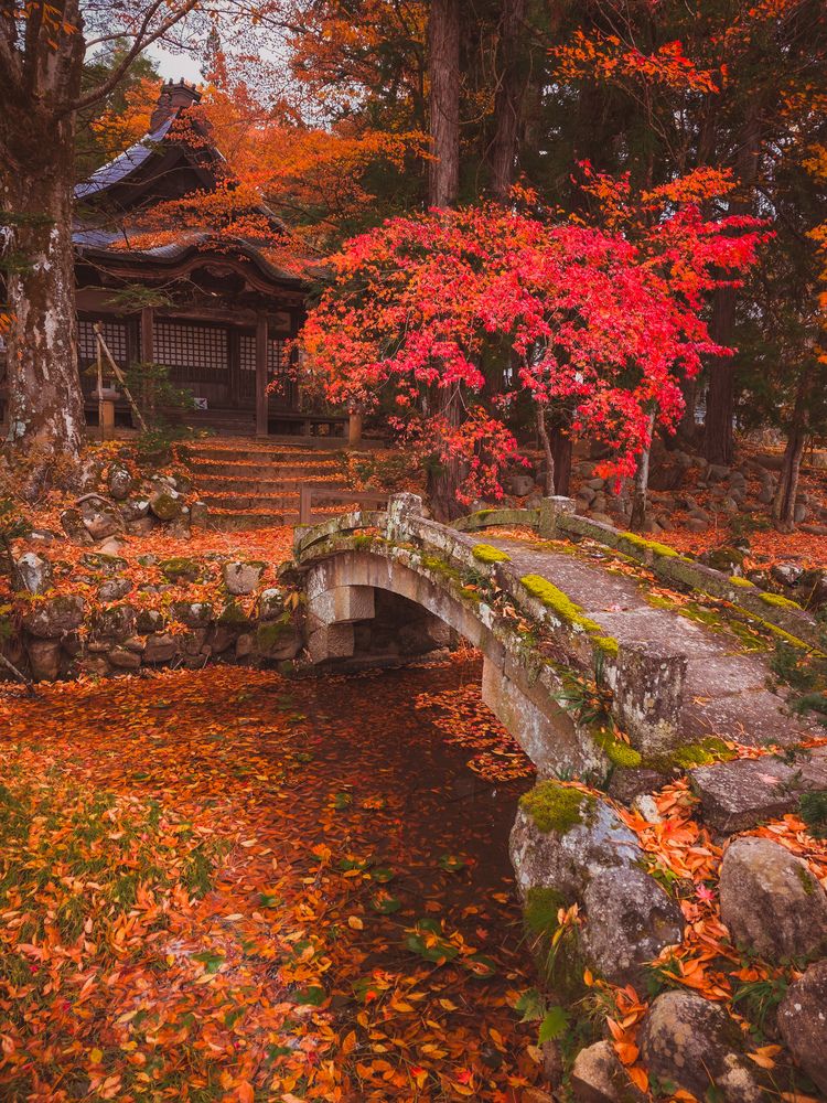 Photograph by Evgeny Pochaev