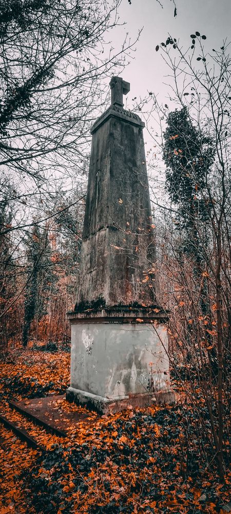 Darkness in the park