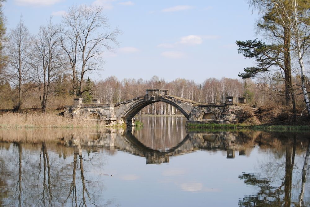 Photograph by Ekaterina Barashkova