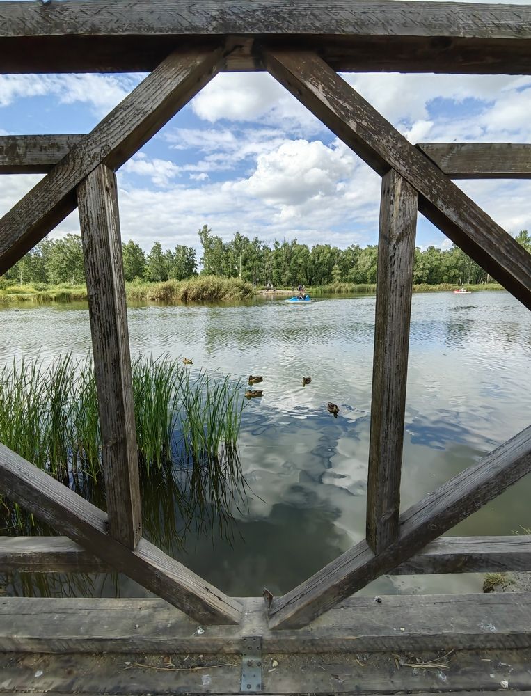 Фотография автора Алёна С-К