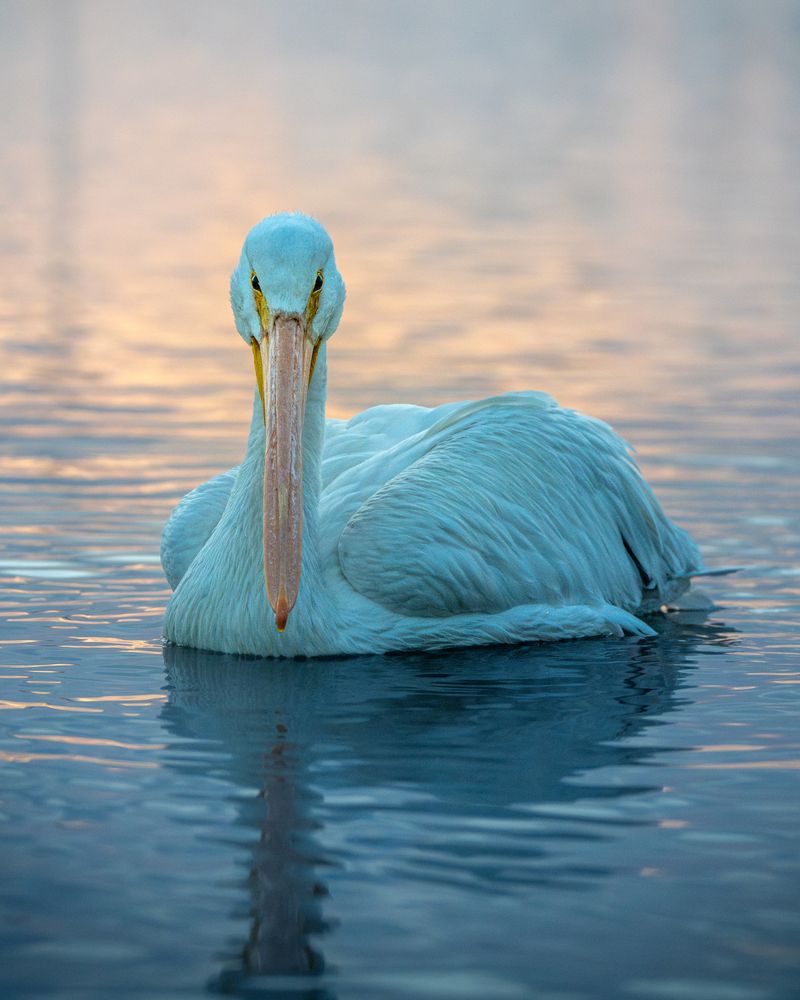 Photograph by B. Samelson