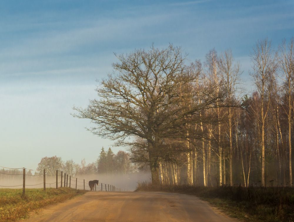 Photograph by Agita Leimane