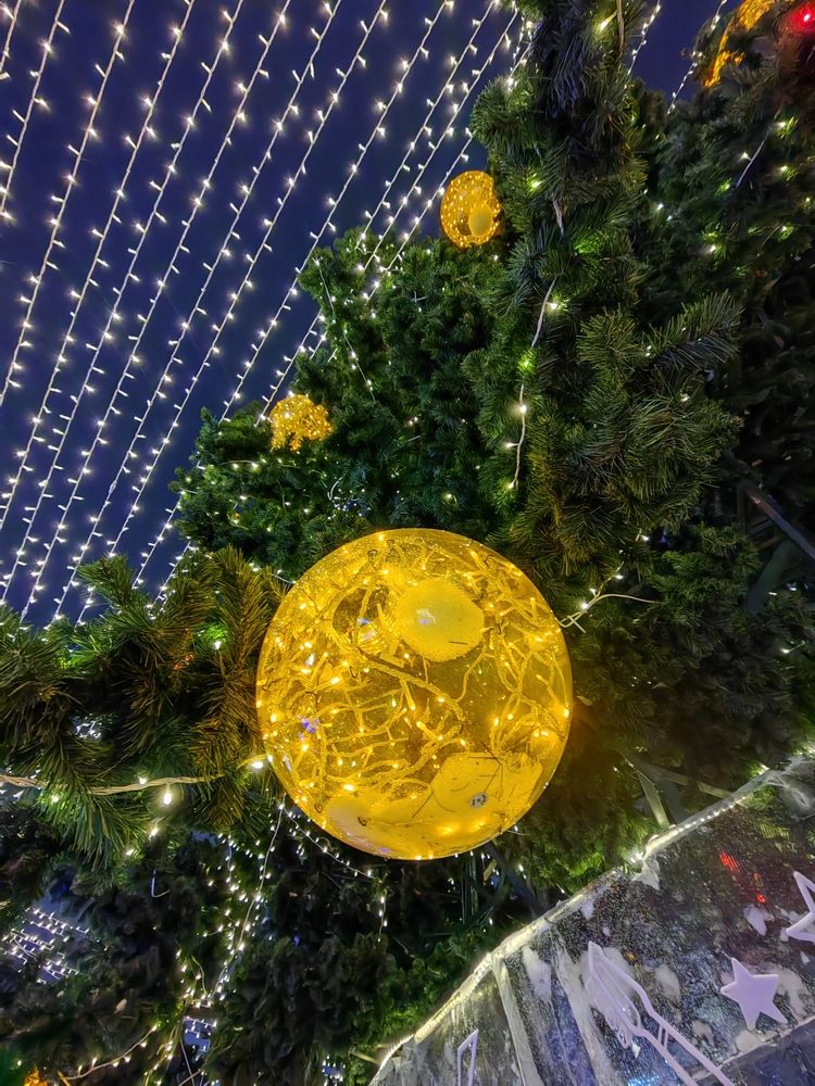 Photograph by Чкареули Светлана