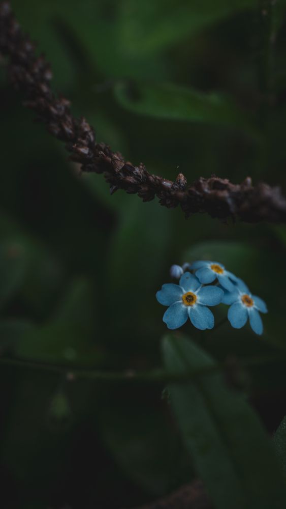 Фотография автора Войнов Дмитрий
