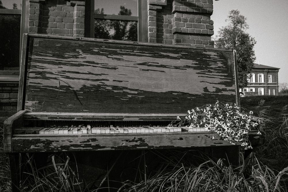 Photograph by Альфия Агзами