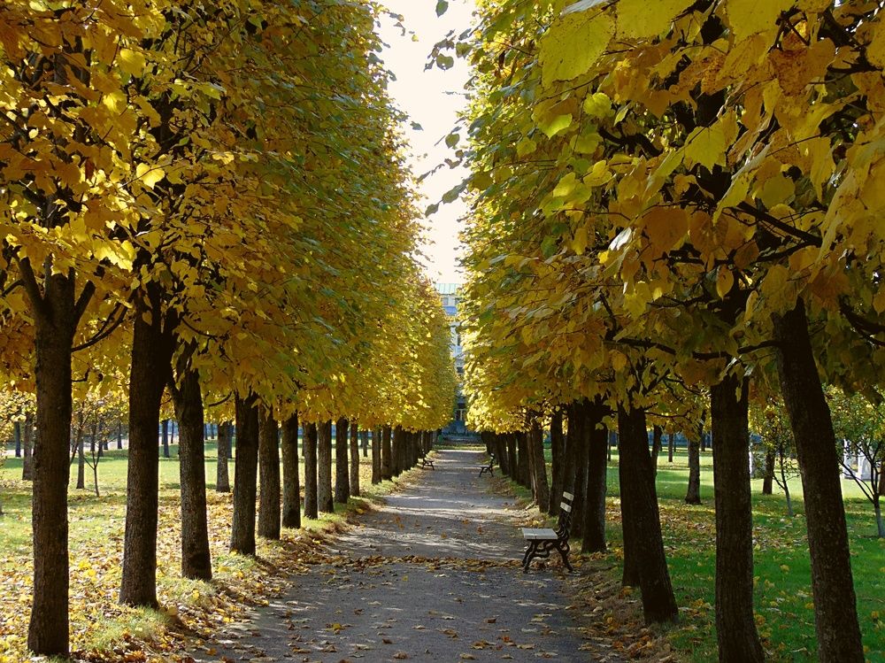 Photograph by Алена