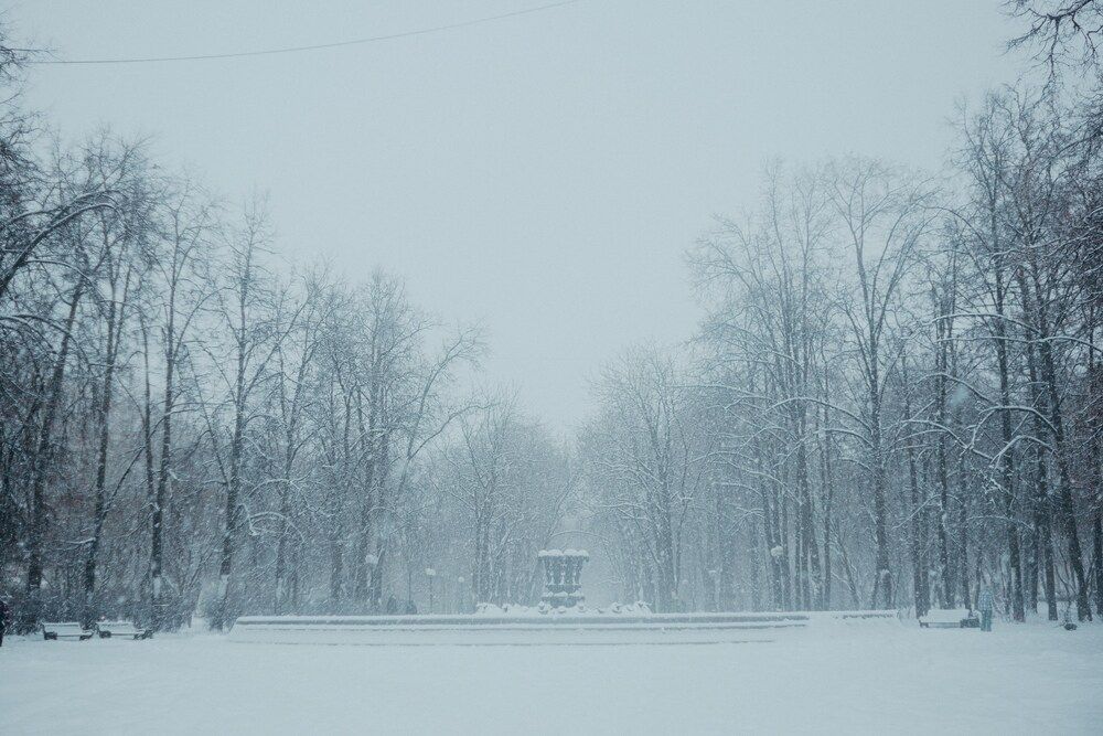 Photograph by Ira Sokol