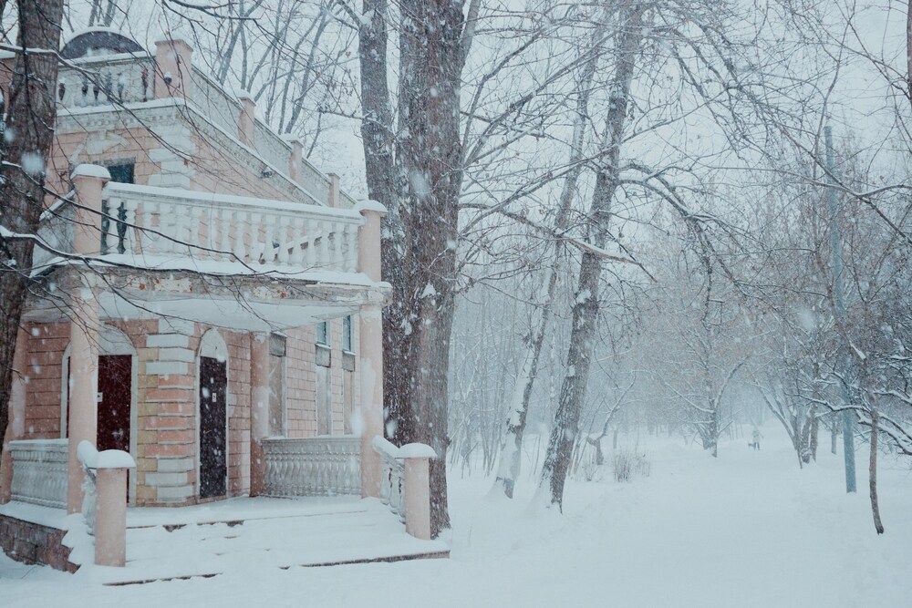 Photograph by Ira Sokol