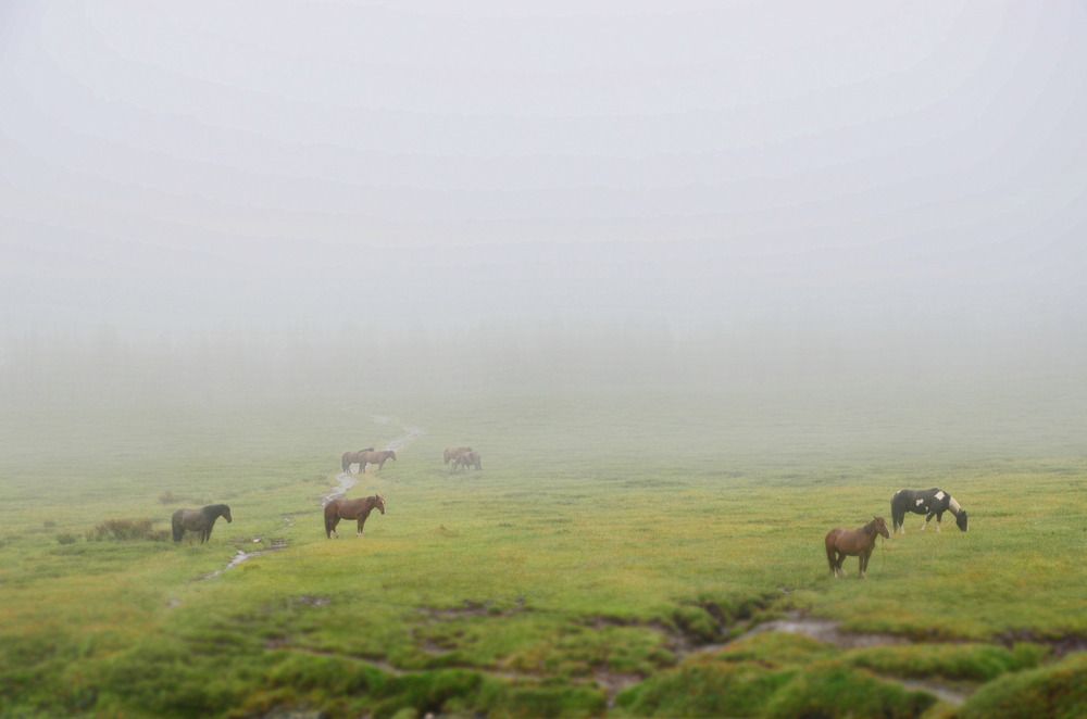 Photograph by Константин Мишнаевский