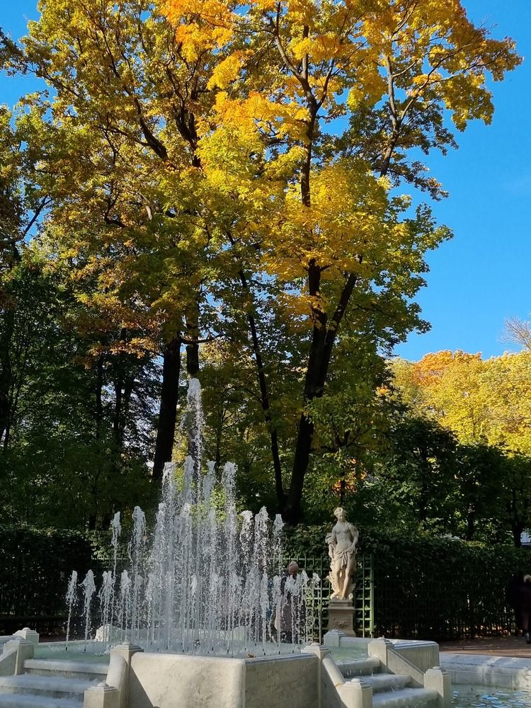 Фотография автора Наталья Агапова