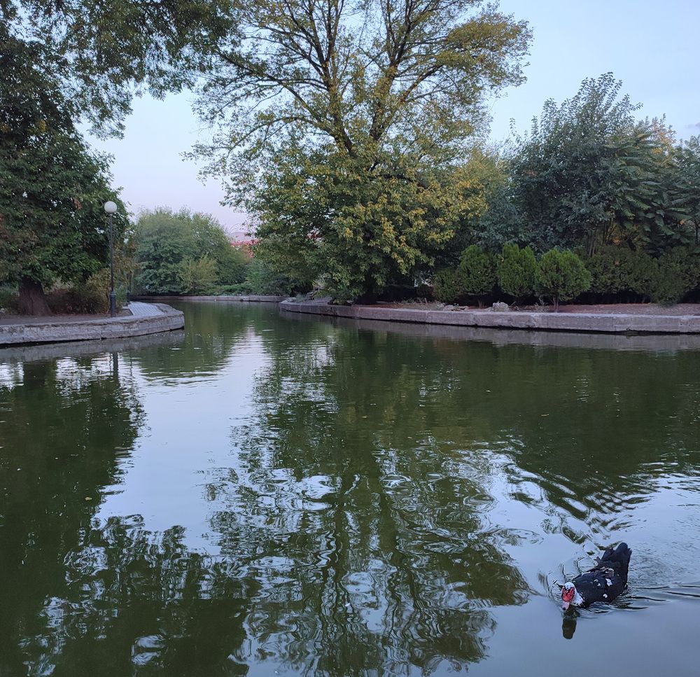 Осенний пруд в Старом парке / Autumn Pond in the Old Park