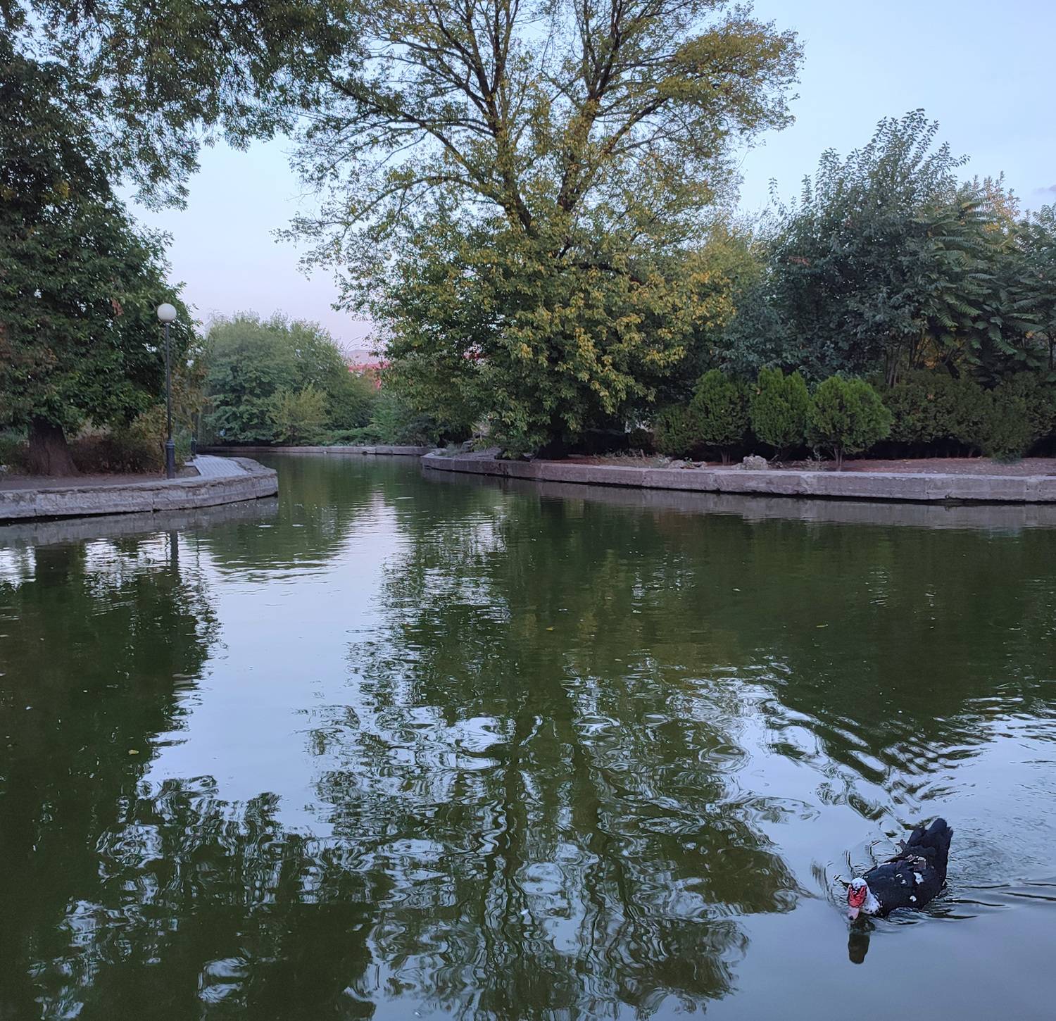 Осенний пруд в Старом парке / Autumn Pond in the Old Park Осенний пруд в Старом парке / Autumn Pond in the Old Park
