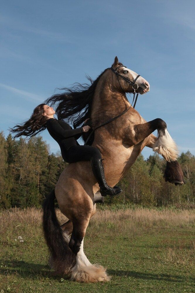 Фотография автора Наталья Агапова