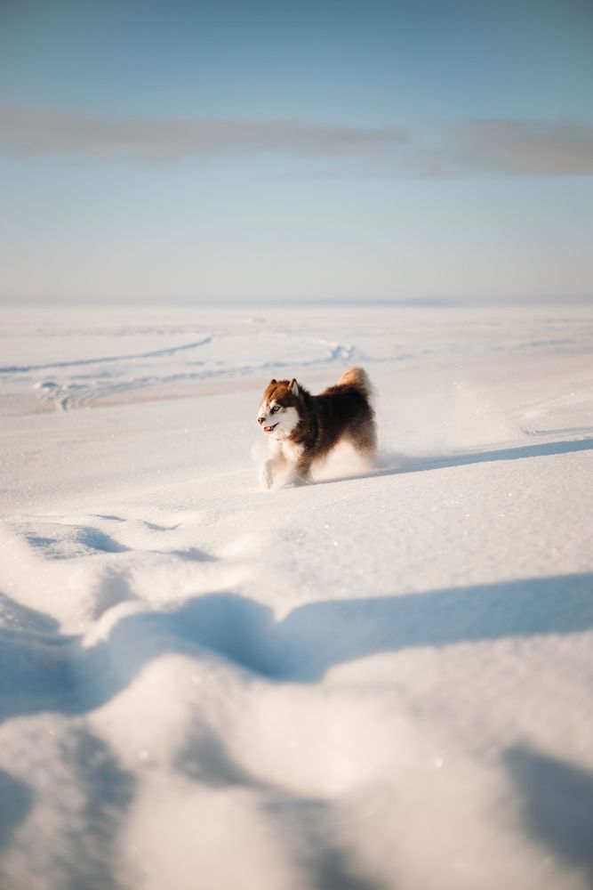 Photograph by Екатерина Воронина