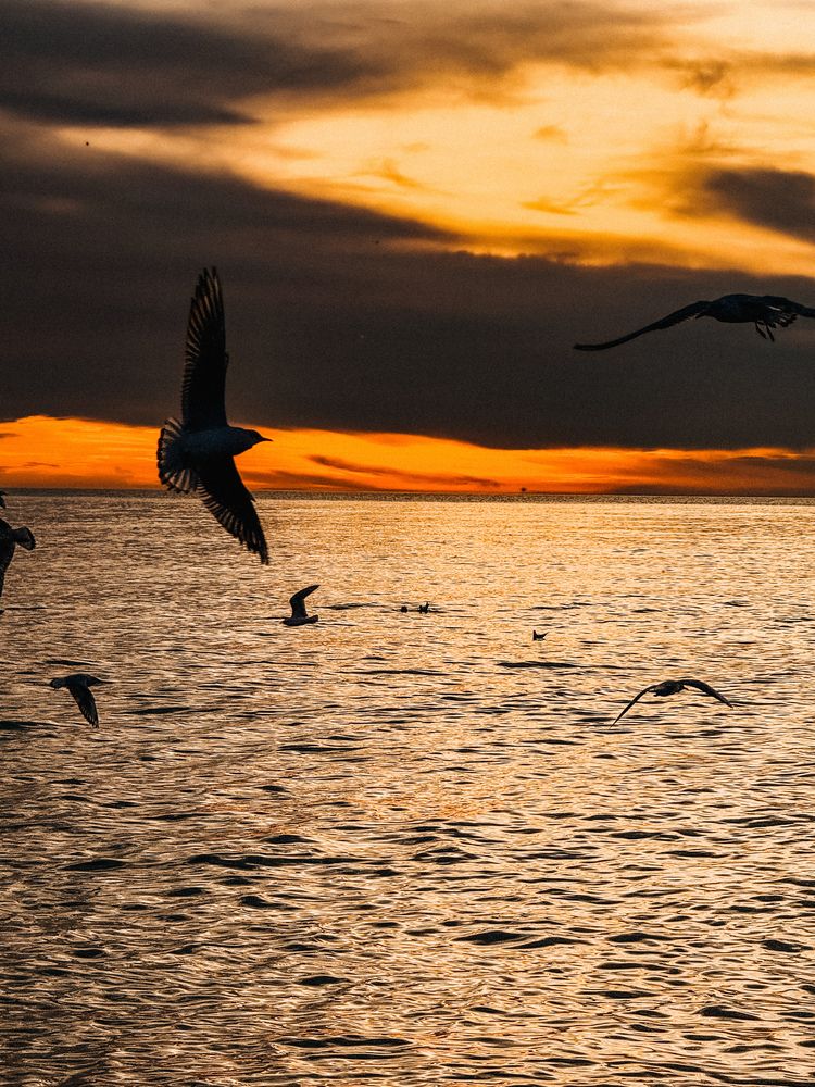 Фотография автора Нина Бочарова
