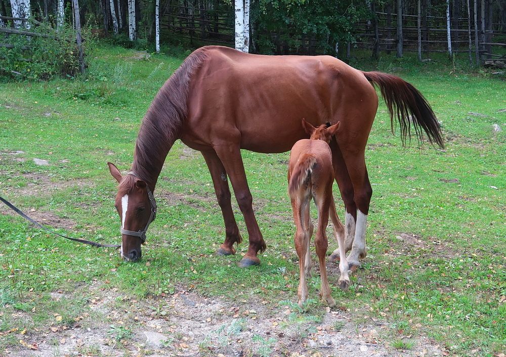 Photograph by Нина