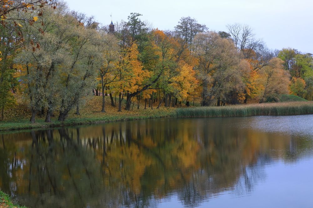Photograph by Николай Протасеня