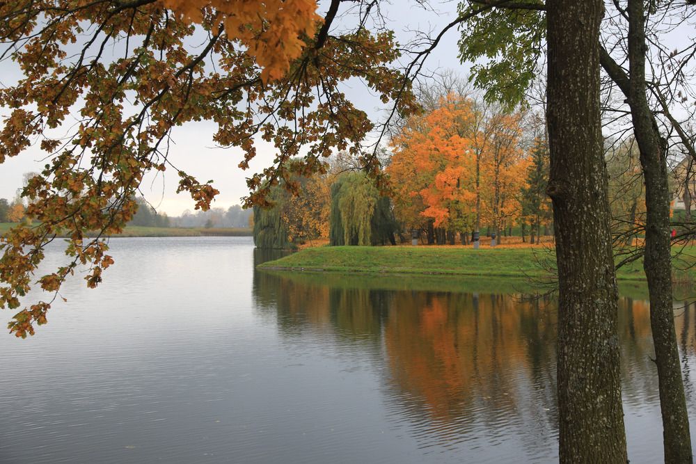 Photograph by Николай Протасеня