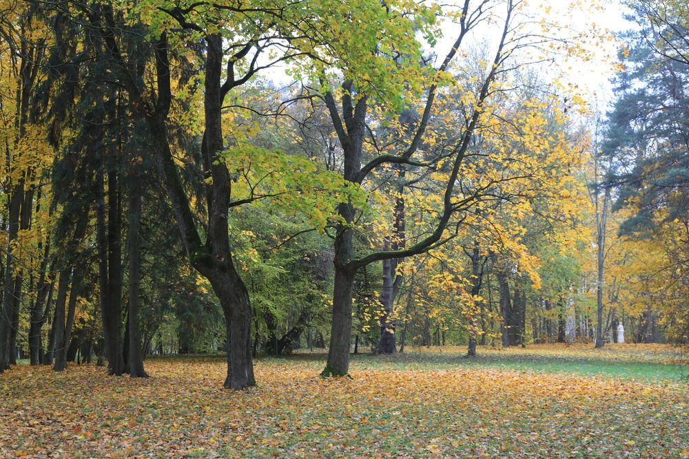 Photograph by Николай Протасеня